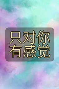 只对你有感觉封面