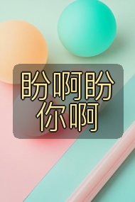 盼啊盼你啊封面