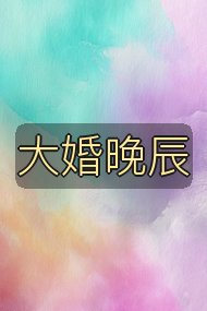 大婚晚辰封面